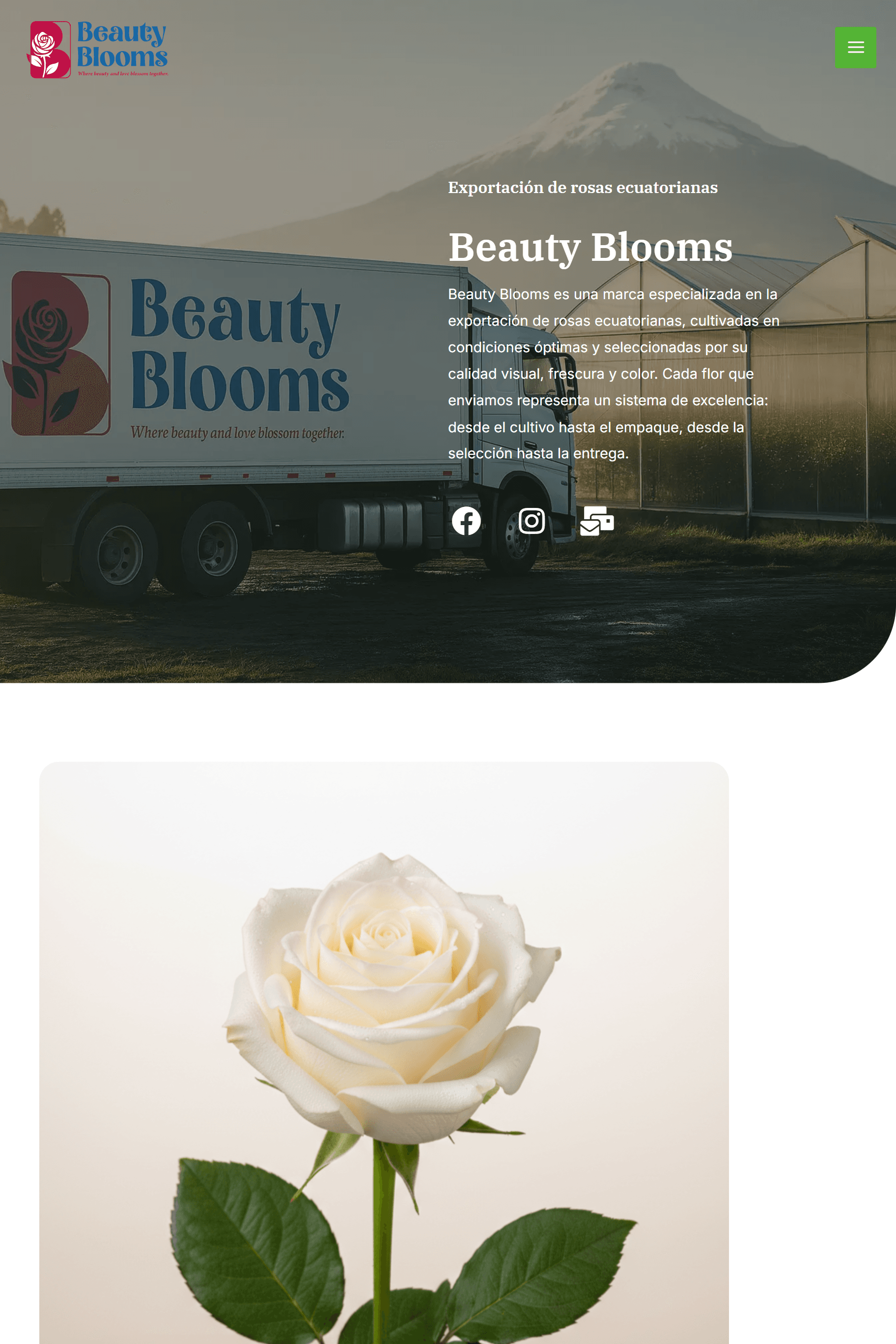 Desarrollo Web Empresarial